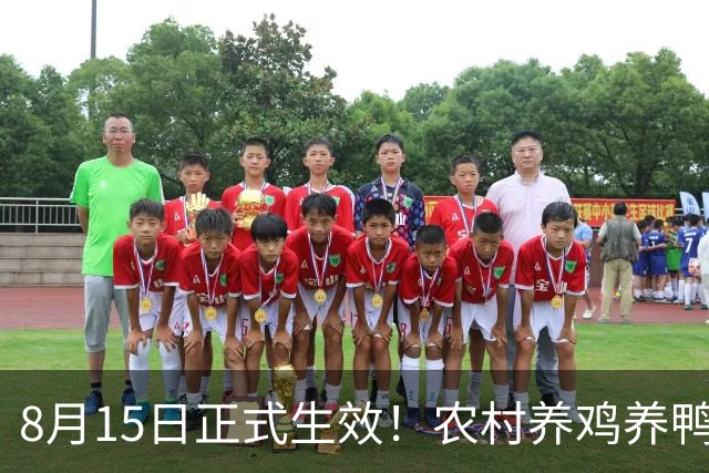 8月15日正式生效！农村养鸡养鸭迎来大整改，四条红线不能碰